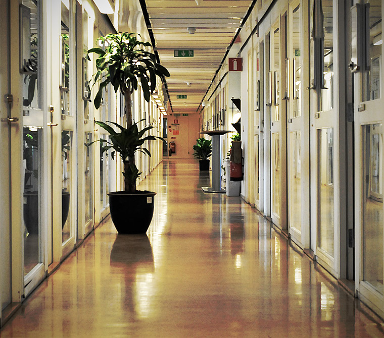Corridor