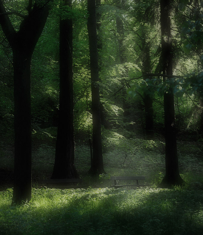 Summer resting place