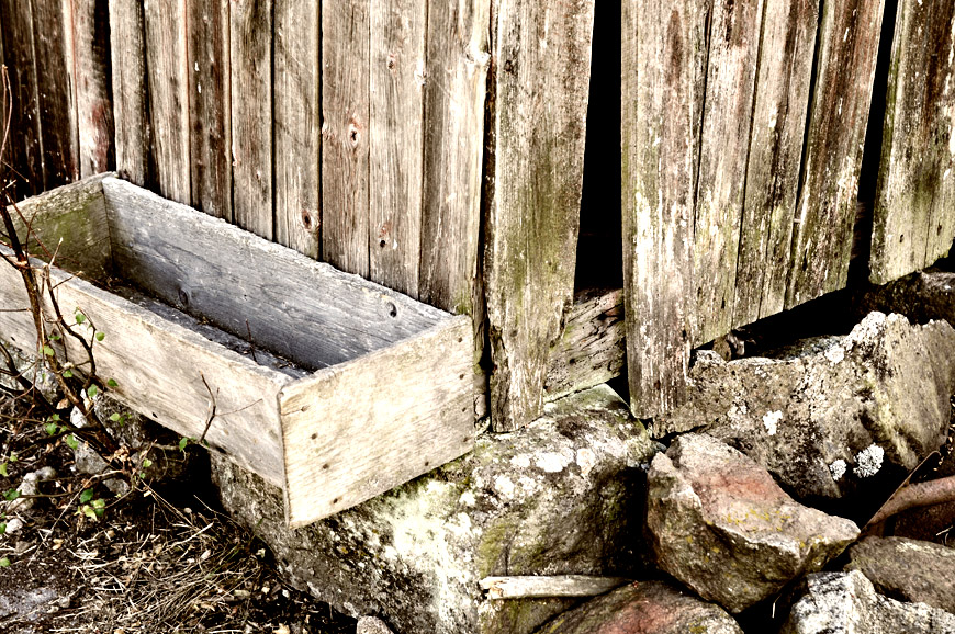 Feeding place for Cows