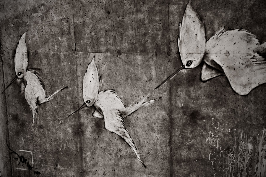 Is photography art?