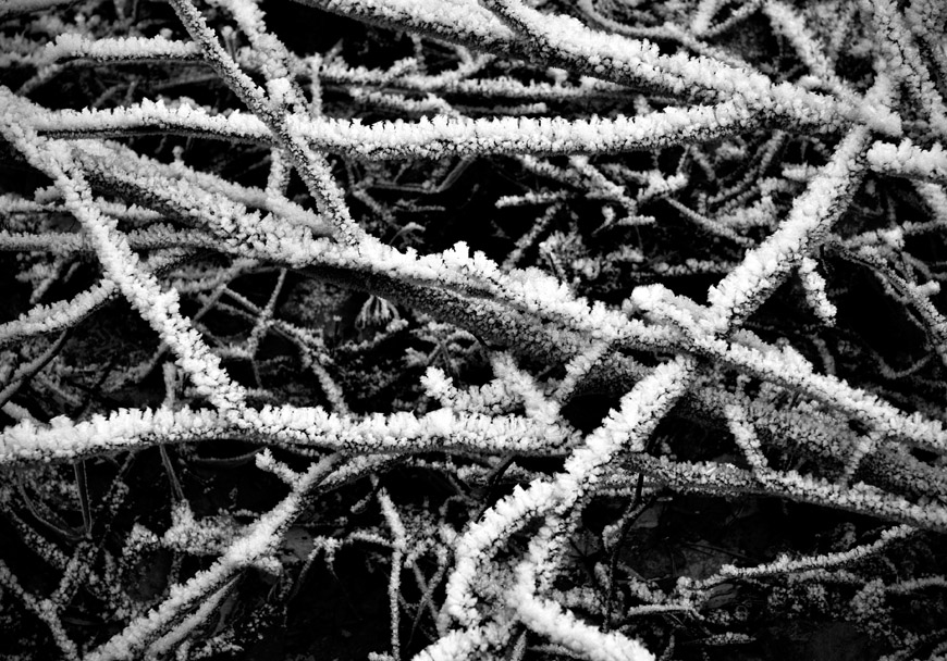 Frost