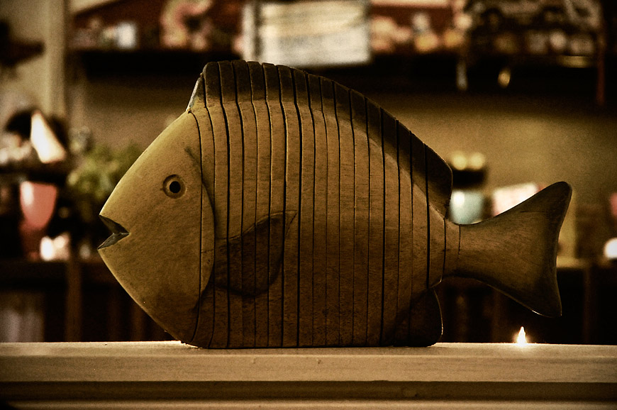 Fish