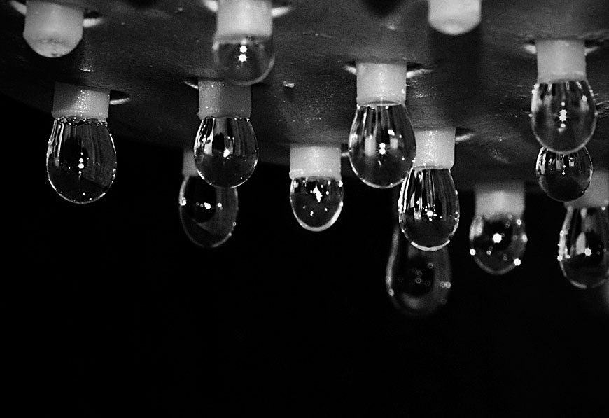 Light bulbs?