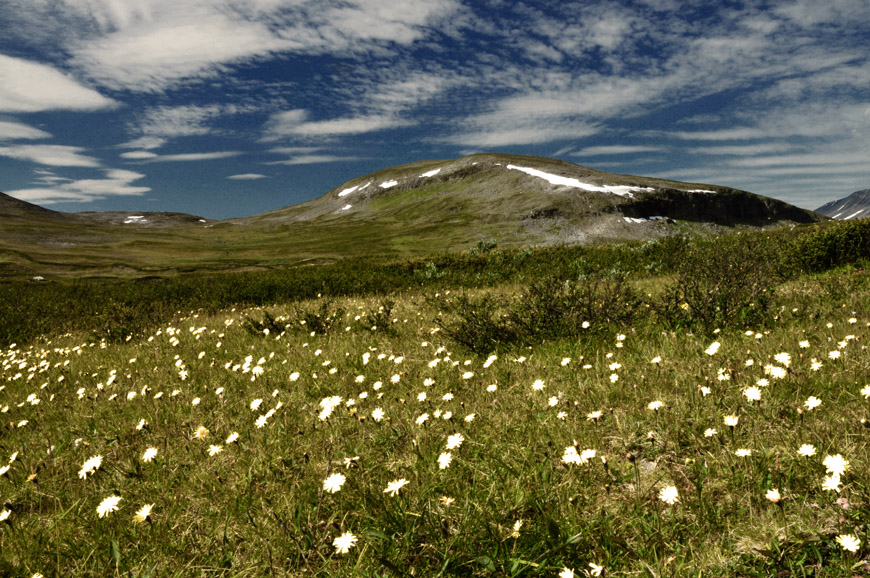 Swedish Mountain View