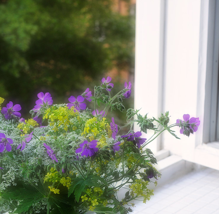 Open window - let the summer night in