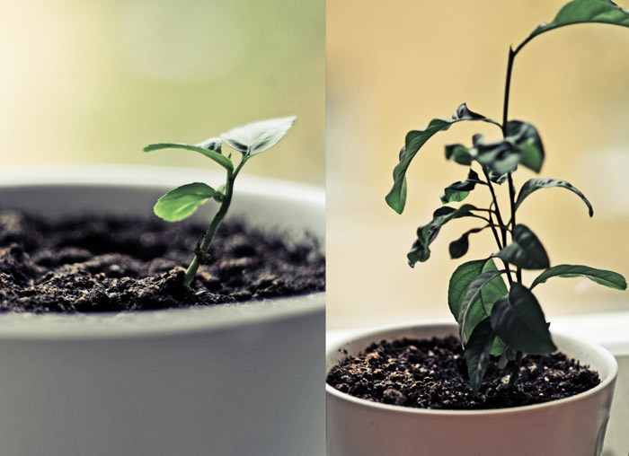 Growing up