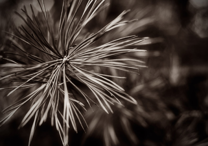 Needles and pain