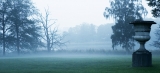 Morning mist|714