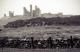 Dunstanburgh castle|727