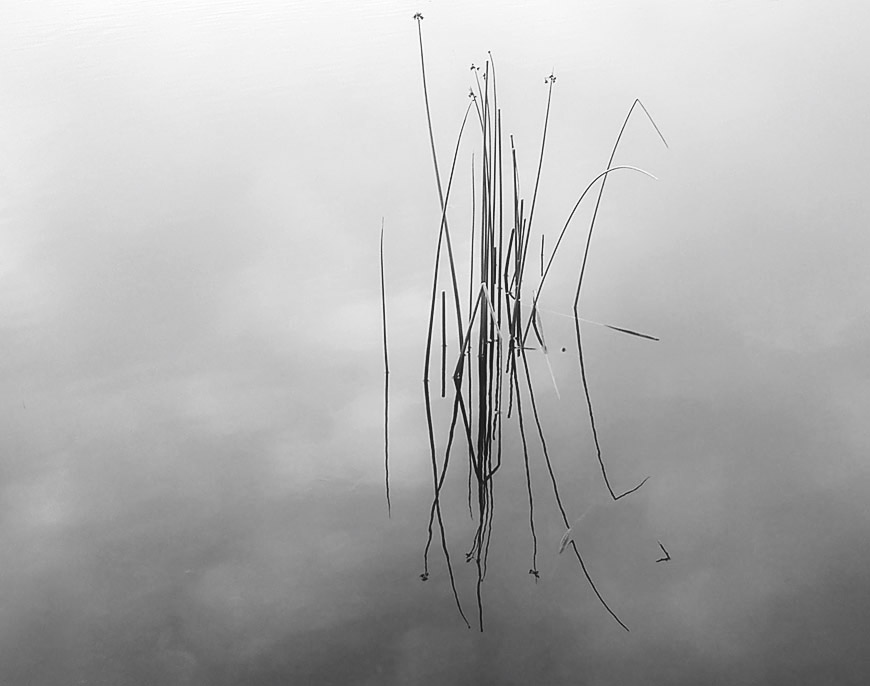 Lines
