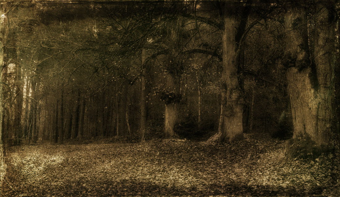 Silent autumn